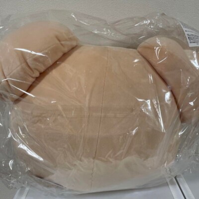 Stray Kids SKZOO Seungmin PuppyM Official Plush Cushion Kpop