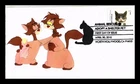 US COVER CATS ANIMAL RESCUE ADOPT SHELTER PET FIRST DAY ISSUE