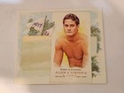 2007 TOPPS ALLEN & GINTER GREG LOUGANIS N43-GL MINT N43 BASEBALL