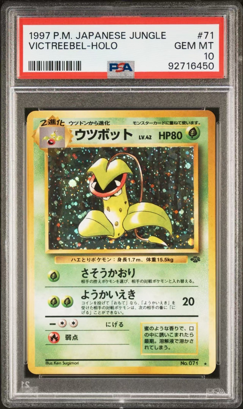 VICTREEBEL PSA 10 #071 Jungle Holo Vintage Japanese Pokemon Graded