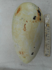 Replica EGG  (HOLLOW)  GREAT  AUK   Mr  SMALL'S   £100  EGG  No 7