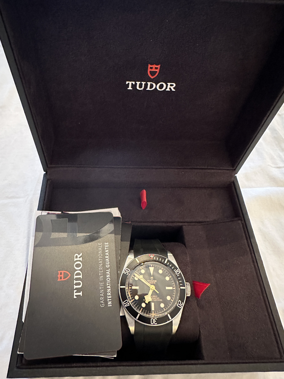Tudor Black Bay 79230N