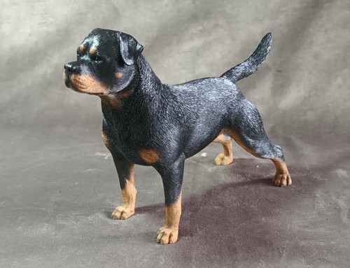 1/6 Mr Z Rottweiler 001 - long tail - 第 8/12 張圖片