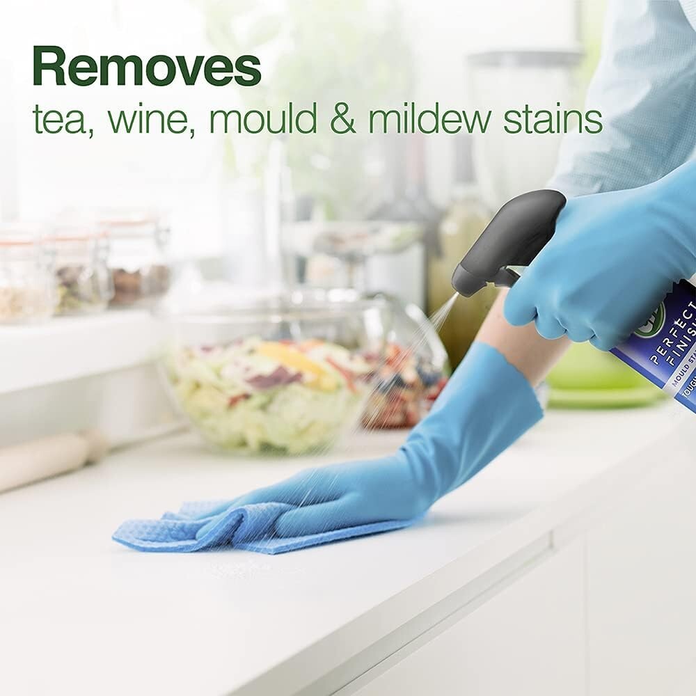 CIF Perfect Finish Mould Stain Removal Spray, 435ml New* eBay