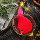 Bild 6 von 12