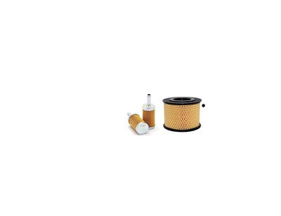 Filter Set für Ammann Rüttelplatte APR 3520 Motor Hatz 1B30-6 auch einzeln