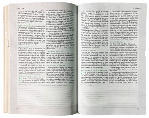 Holman CSB (In) Courage Bible; 2023; Sage Leather Soft; 9 Point; Indexed - Imagen 8 de 8