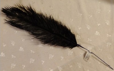 NWT Ostrich Feather Pick - Black - 19.62'' Total Length