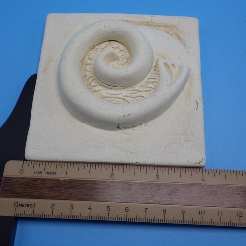 White Ceramic Wall Tile Organic Spiral Fossil Pattern Ocean Matte - 第 3/4 張圖片