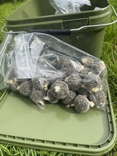 Special Offer Halibut Ultramix CCmoore  80  pva mesh balls  Free 5 LTR Bucket