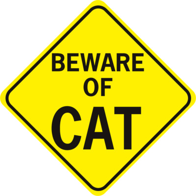Beware of cat sticker warning sign weatherproof bumper vinyl decal