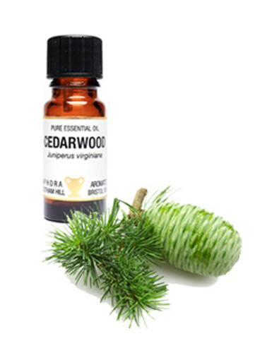 Amphora Aromatics Cedarwood Pure Essential Oil 10ml