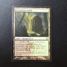 Overgrown Tomb Return to Ravnica Regular MTG MP 243