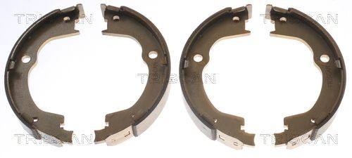 Triscan Bremsbackensatz, Feststellbremse 8100 24003 FüR Chevrolet Opel-image