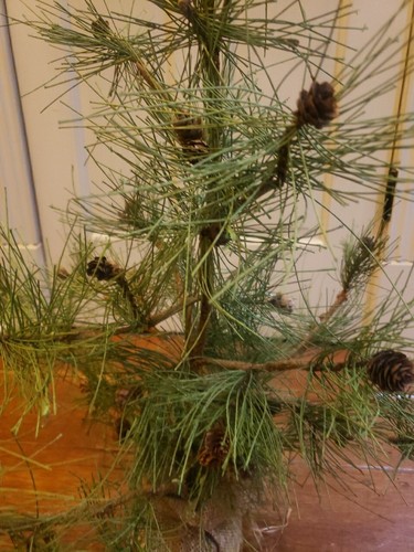 Primitive Farmhouse Rustic CHARLIE BROWN TREE Pine Burlap 36" Pinecones READ!!! - Picture 14 of 14