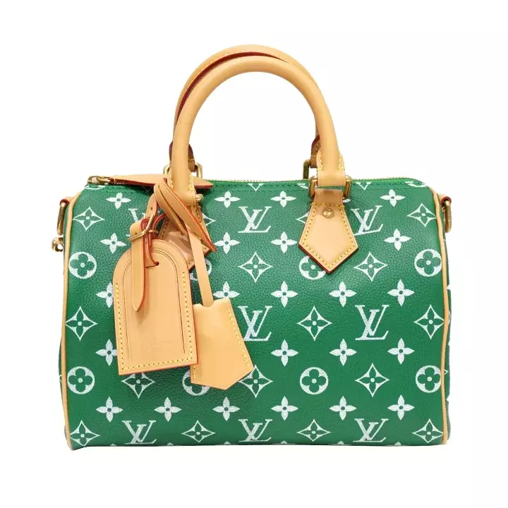 LOUIS VUITTON Speedy P9 Bandoulière 25 M24423 velo pelle di