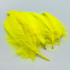 Bild 10 von 17