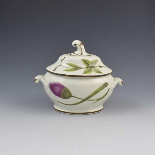 Antique Georgian Swansea Pearlware Botanical Sauce Tureen c.1810 - Picture 3 of 12