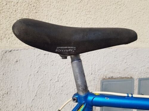 Bici da corsa moser campione del mondo campagnolo pantografata vintage - Foto 10 di 24