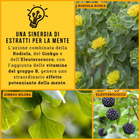 Foto 2 di 6