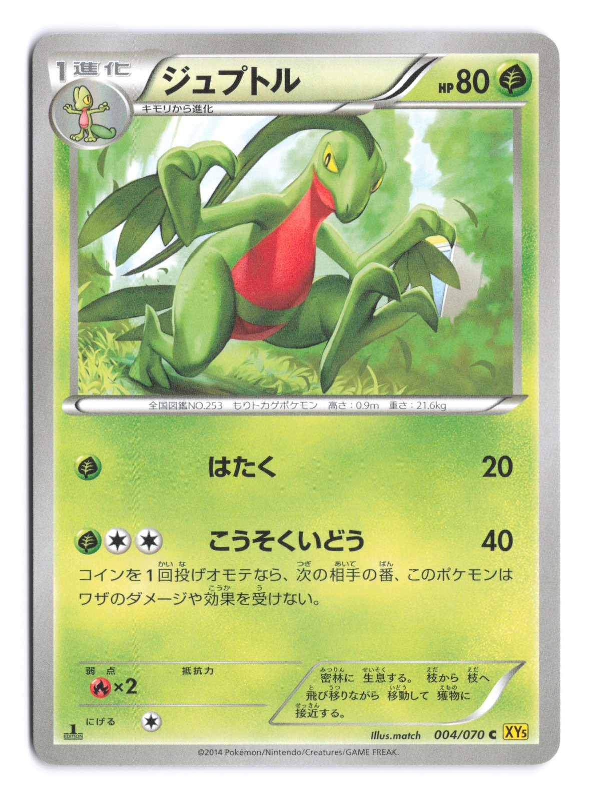 Pokemon Grovyle XY5-Bg: Gaia Volcano 1st Edition 004/070 Japanese NM