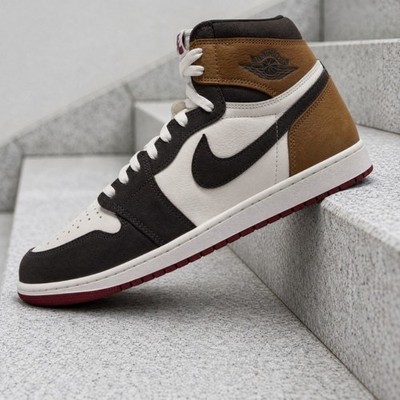 Nike Air Jordan 1 Retro High OG Shadow Brown DZ5485-201 Men's New