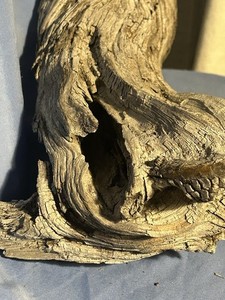 Driftwood XL Unique Natural 