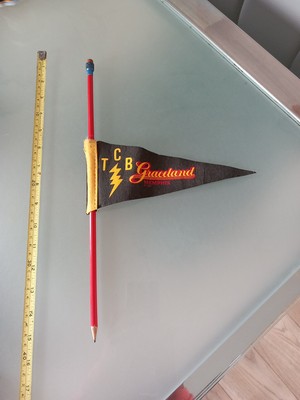 ELVIS PRESLEY Vtg Felt Pennant TCB Lightning With Pencil Graceland Memphis Rare!