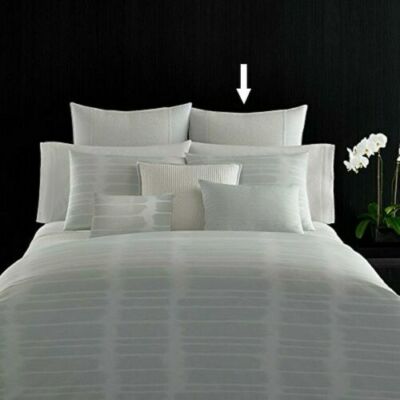 Vera Wang Painted Stripe European Euro 26x26'' Sham Aqua White Ramie Linen, NEW