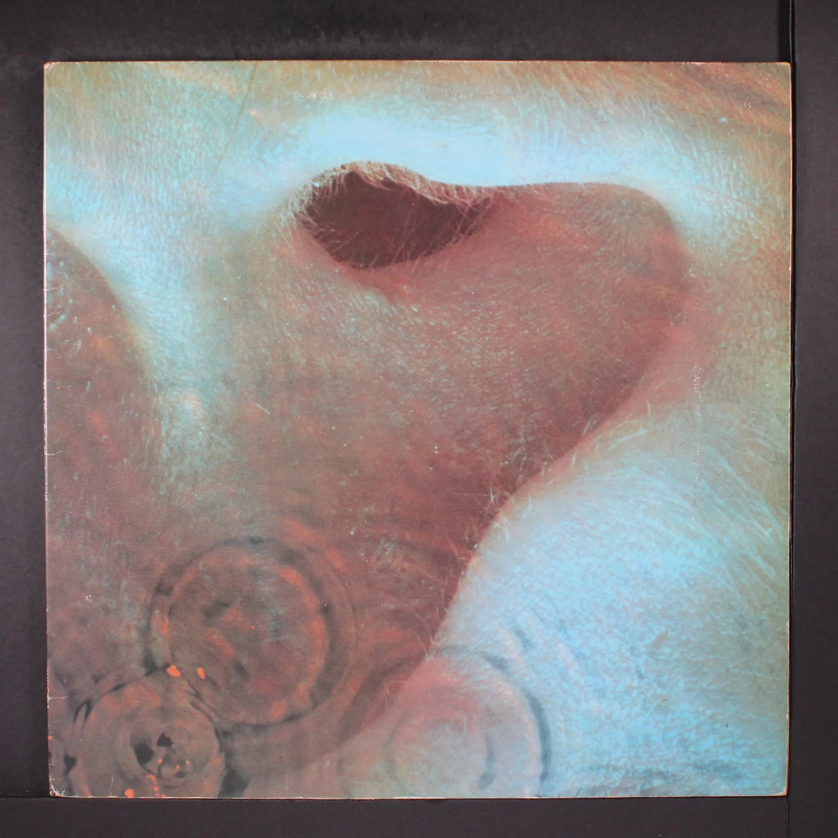 Pink Floyd Meddle Uk Lp | eBay
