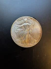 2013 American Silver Eagle Dollar US Mint Walking Liberty Coin 1oz .999 fine