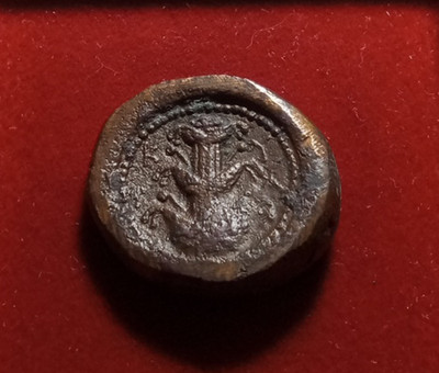 Kyrenaica, Kyrene AE24 Unit c. 3rdc BC Apollo & Silphium plant