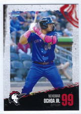 2025 Fayetteville Woodpeckers (Single-A Houston Astros) Nehomar Ochoa, Jr.