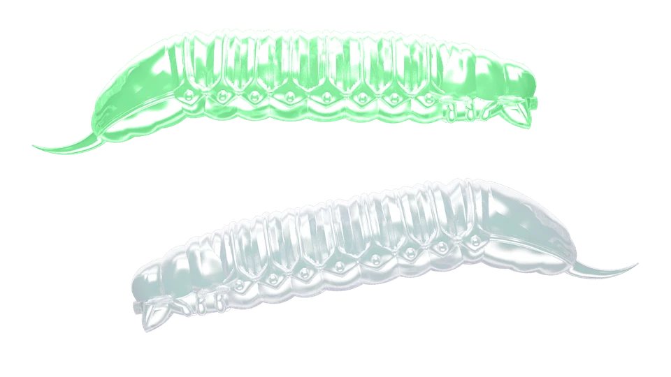 LIBRA LURES GOLIATH Forellenköder Softbait Gummiköder Set Aroma Käse - Bild 2 von 4