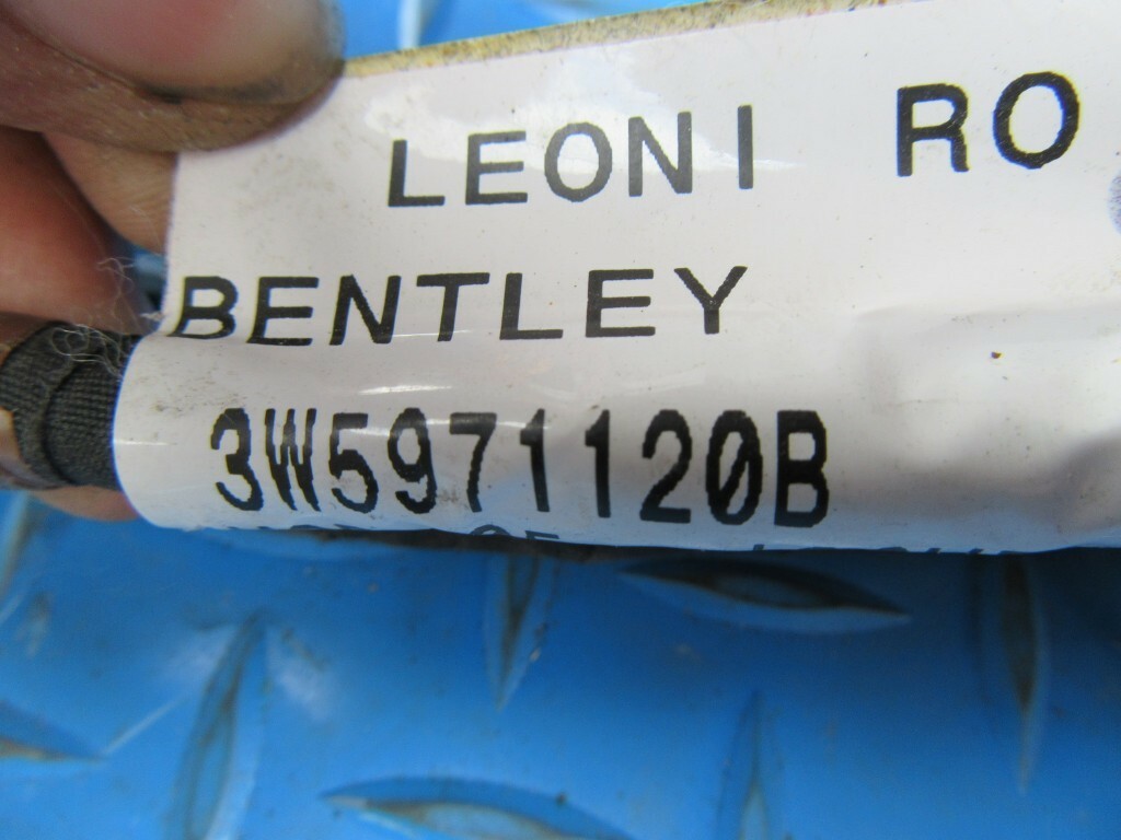 Bentley Continental Flying Spur left front door harness #6228