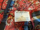 Foto 10 di 11