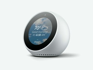 echo spot home assistant