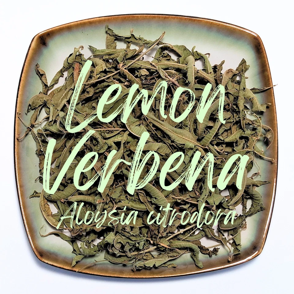 Hoja de verbena de limón ~ Hierba entera seca ~ Cepillo de abeja Aloysia citrodora hierbas orgánicas Foto 3 de 4