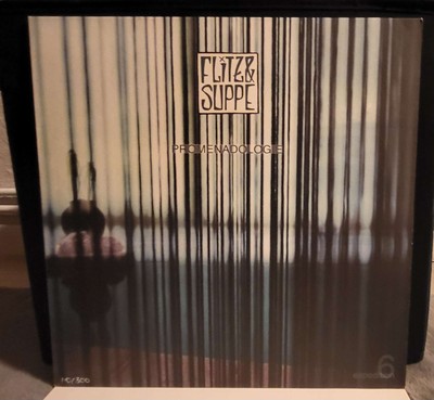 Flitz & Suppe   EXPEDITion Vol. 6: Promenadologie Vinyl 12''LP Schallplatte
