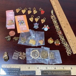 Vtg 1970/80/90s Women of the Loyal Order Moose WOTM Charms Pendants Pin Bracelet