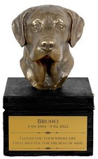 Labrador Retriever Black Letters On The Box Art-Dog