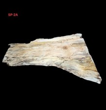 SPALTED MAPLE LIVE EDGE SLAB - 32" X43.5" X 2.4375" FREE SHIPPING