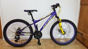 carrera luna 24 purple