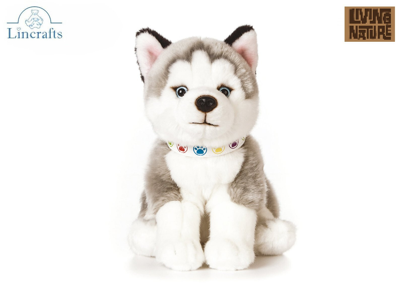 Sitting Husky Puppy Plush Soft Toy Dog Teddy 10 year guarantee. Gift. 21.5cmH