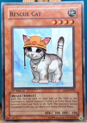 Yu-Gi-Oh! Rescue Cat - FET-EN033 - 1st Edition - englisch