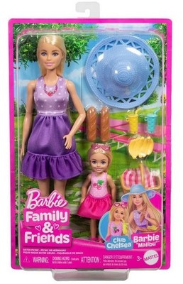 Barbie Malibu & Club Chelsea - Barbie Family and Friends Puppe Doppelpack 