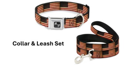 Buckle Down Seatbelt Dog Collar & Leash Set Small 9''-15'' Neck US Flag Patriotic