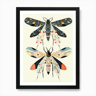 Colourful Insect Illustration Fly 1 Framed Wall Art Poster Canvas Print Picture
