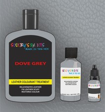 Leather Repair Paint - ALL IN ONE Color Restoring Colour to shoes, bags,sofa