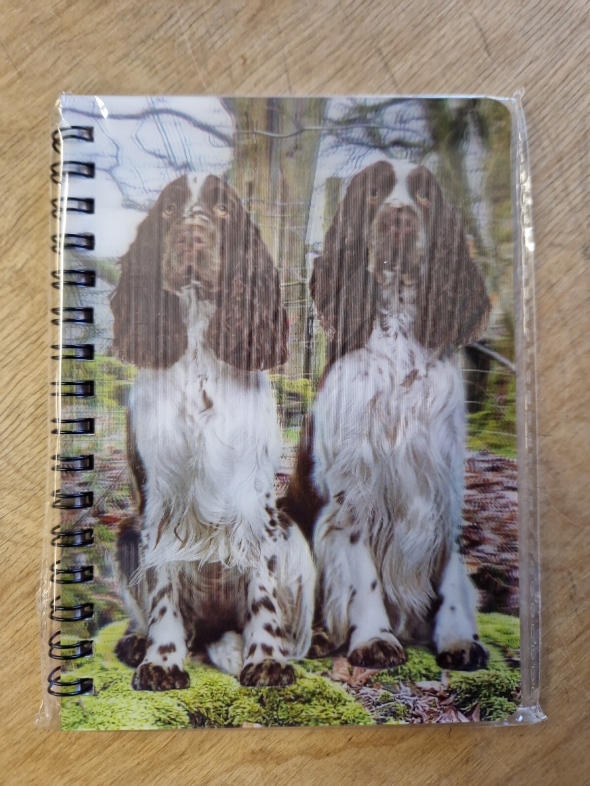 English Springer Spaniel notebook Springer Spaniels Notebooks Springers Dog Dogs